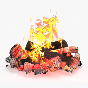 3D model Burning Bonfire