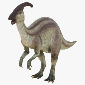 3D model Parasaurolophus