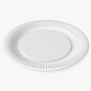 3D model Styrofoam Plate