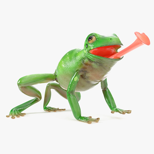 Realistic Australian Green Frog Rigged for Maya 3D