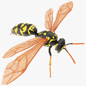 3D model Paper Wasp