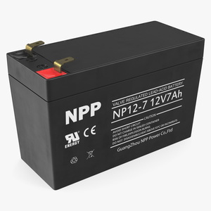 3D NPP Lead Acid Battery