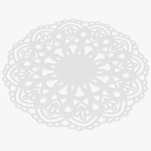 3D Lace Paper Doilie White model