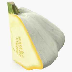 3D Bush Pumpkin Quarter White