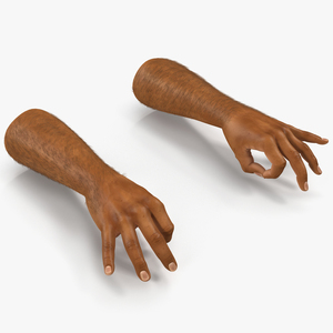 3D model African Man Hands 2 with Fur Pose 5