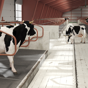 3D Cow Farm and Cows Fur