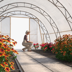 Flowers Greenhouse Tent with Gardener 3D