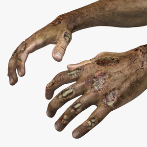 Zombie Hands Rigged 3D model