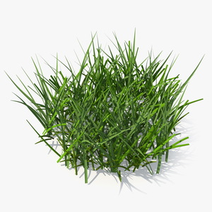 Realistic Patch of Grass 3D model