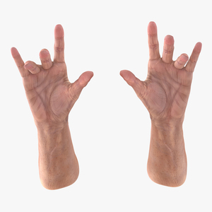 Old Man Hands 3 Pose 3 3D