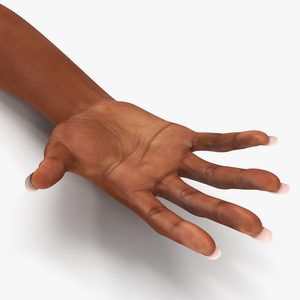 3D model Female Hand African American Rigged