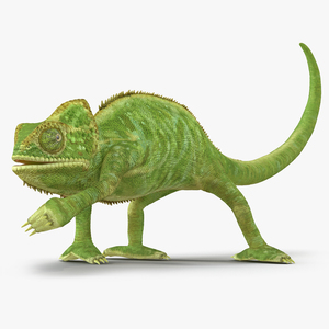 3D Chameleon Pose 3