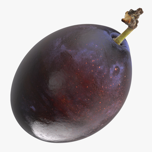 3D model Blue Ripe Plum Fruit