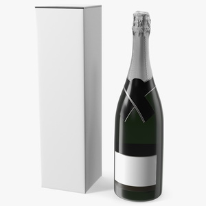 3D Champagne with Box model