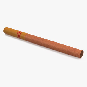 Cigar with Filter 3D