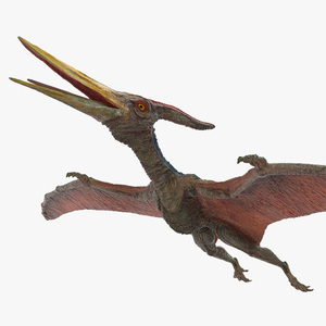 3D model Pteranodon