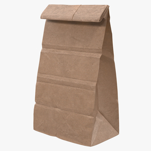 3D Paper Bag 2