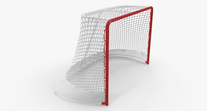 3D model Hockey Net