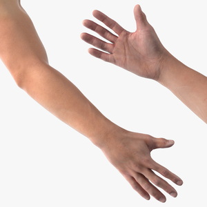 3D model Realistic Asian Male Hand