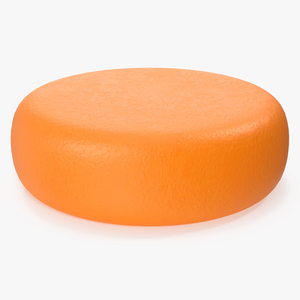 3D Cartoon Cheesehead model