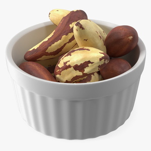 Bowl of Brazil Nuts 3D model