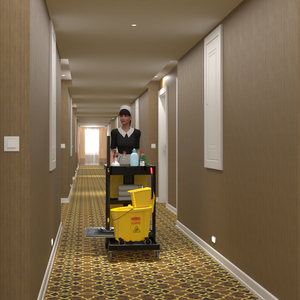 3D Hotel Corridor and Housekeeping Maid