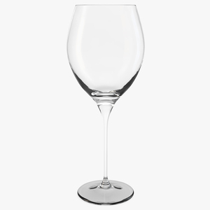 3D model Wine Glass