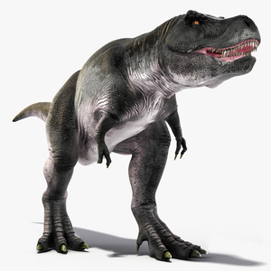 3D T Rex Walking Animated Rigged for Cinema 4D model