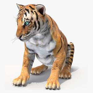 3D model Tiger Cub Sitting for 3D Print