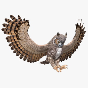 3D Great Horned Owl Attacking Pose