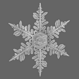 3D Detailed Snowflake model