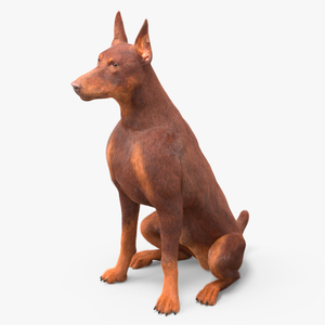 Doberman Dog Brown Sits Fur 3D