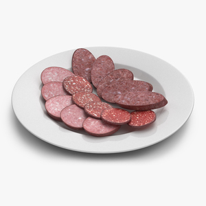 Slices of Delicious Sausage Salami 3D model