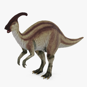 Parasaurolophus Dinosaur 3D model