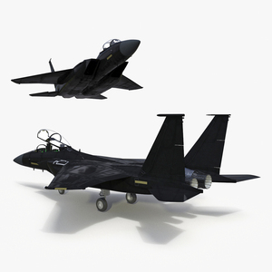 3D Multirole Strike Fighter Rigged