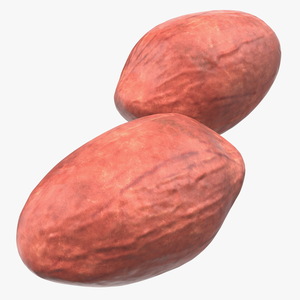 Peeled Peanuts 3D model