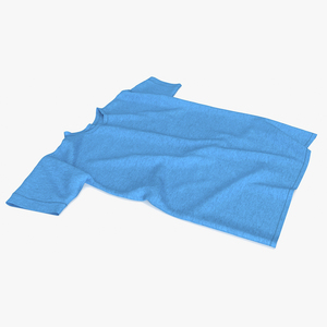 Blue Shirt Flat Lay 3D model