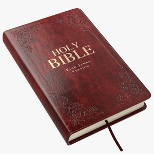 Holy Bible Closed Book 3D