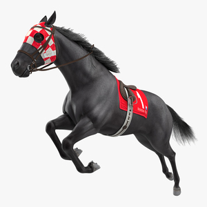 3D model Jumping Black Racing Horse Fur