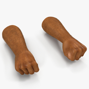 3D model African Man Hands 2 with Fur Pose 2