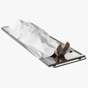 3D Male Dead Body Covered with Cloth model