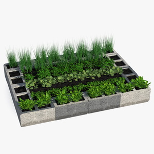 Raised Garden Bed with Various Plants 3D