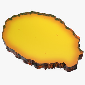 3D Amber Slice