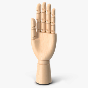 Light Wood Hand Rigged 3D