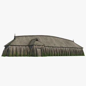 Aged Vikings Longhouse 3D