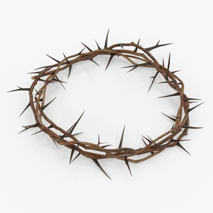 3D model Crown of Thorns