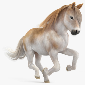 3D Galloping Pony with Long Mane Fur model