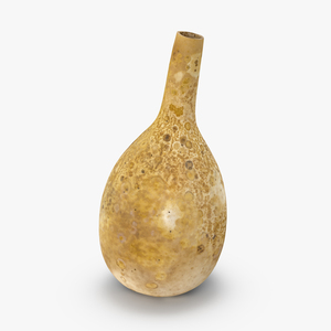 3D model Gourd Water Container Calabash