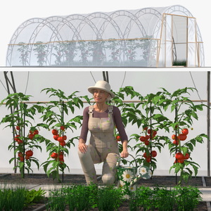 3D model Vegetables Greenhouse Tent with Gardener