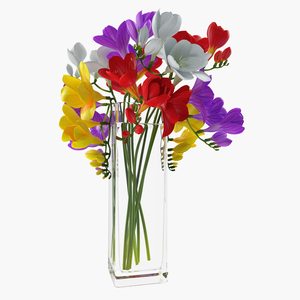 3D Freesia Flowers Bouquet in Vase